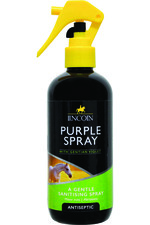 2022 Lincoln Purple Spray 4018